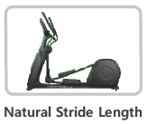 Elliptical Cross Trainer