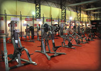 Ficci Wellness 2014